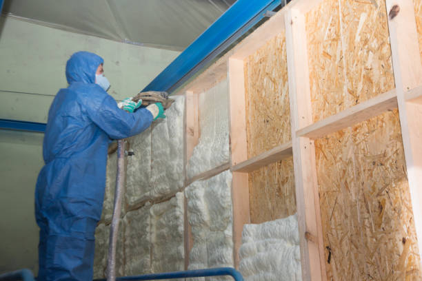 Best Local Insulation Services  in St Marys, KS
